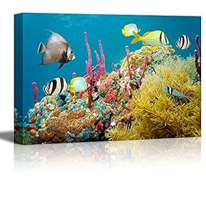 Colored Underwater Marine Life in a Coral Reef...