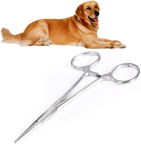 Amazon Com Kangkang Stainless Steel Pets Dogs Hemostat Forceps