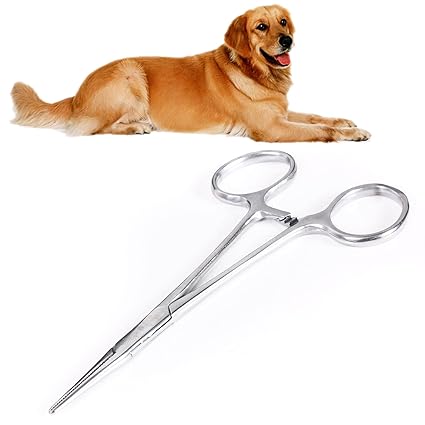 Buy 3nh White Stainless Steel Pets Dogs Hemostat Forceps