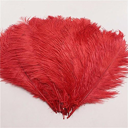 Hanlanbo 20pcs Ostrich Feather Craft Plume 10-12"(25-30cm) for Wedding Party Centerpieces Home DIY Decoration (Red)
