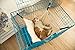 FADUOALI Pet Cage Hammock,Easy to Attach to a Cage Cat Hammock,Ferret,Rat,Rabbit,Small Dogs or Other Pet (Original Version)