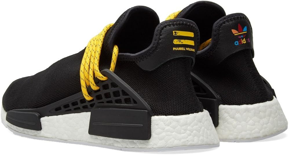 human race human species