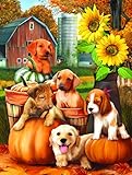 Autumn Puppies 300 pc Jigsaw Puzzle by SunsOut
