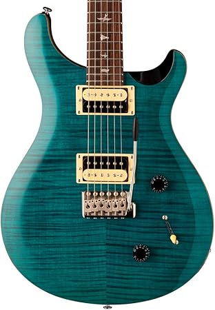 PRS Guitars 6 String SE Custom 22