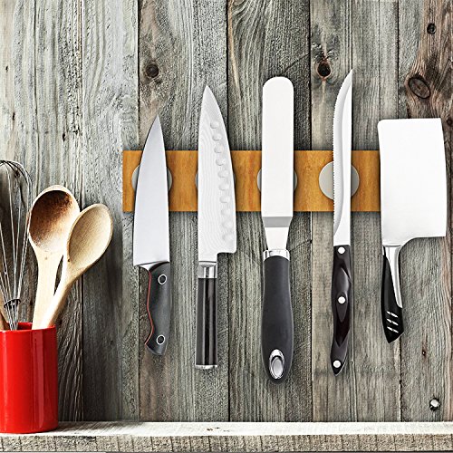 4 Strong+Neodymium+Magnets+Stronger+Earth