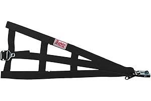 SPEEDWAY MOTORS Safety Racing Black Sprint Car Open Wheel Cage Net-No Plastic