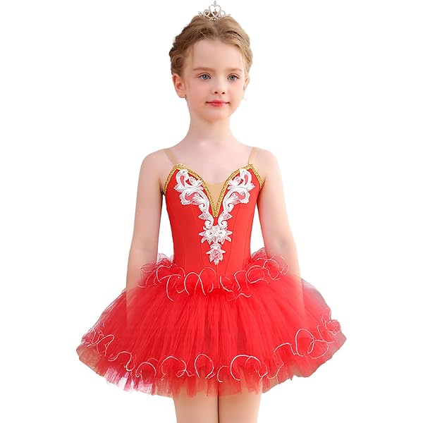 Amazon.com: ZX Girl's Ballet Swan Lake Tutu Costume Professional