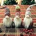 Juegoal Christmas Plush Gnomes, 9 Inch Lighted Handmade Mini gnome Scandinavian, Light Up Swedish Tomte Elf Holiday Present, Battery Operated Xmas Gifts Table Ornaments Dinner Party Supplies, Set of 3