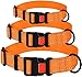 CollarDirect Reflective Dog Collar, Safety Nylon Collars for Dogs with Buckle, Outdoor Adjustable Puppy Collar Small Medium Large (Neck Fit 12