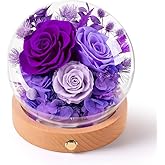 Agrul Valentines Day Flowers Gifts for Women,Forever Preserved Roses in Glass Dome,Valentines Day Roses Gifts for Her Wife Women/Purple