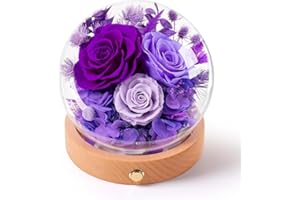 Agrul Christmas Flowers Gifts for Mom,Forever Preserved Roses in Glass Dome,Roses Gifts for Wife Grandma Women Daughter Mother in Law Gift./Purple