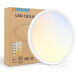 VOLISUN 12 inch 5 CCT LED Flush Mount Ceiling