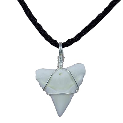 Cowry Shell Teeth Wooden Beads Cowrie Shells Genuine Shark Tooth Necklace - Mako Shark ...