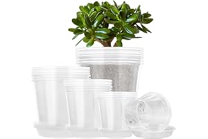 4/5/6/7 Inch Clear Nursery Pots for Plants with 32 Pack, Plant Pot for Planting Plastic Seedling with Drainage Holes, High Tr