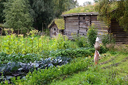 Survival Garden - Organic Seed Bank - Non GMO Heirloom USA Grown Seeds Vault - 28 Varieties of Prepper Vegetables and Flowers - Thumbnail 7
