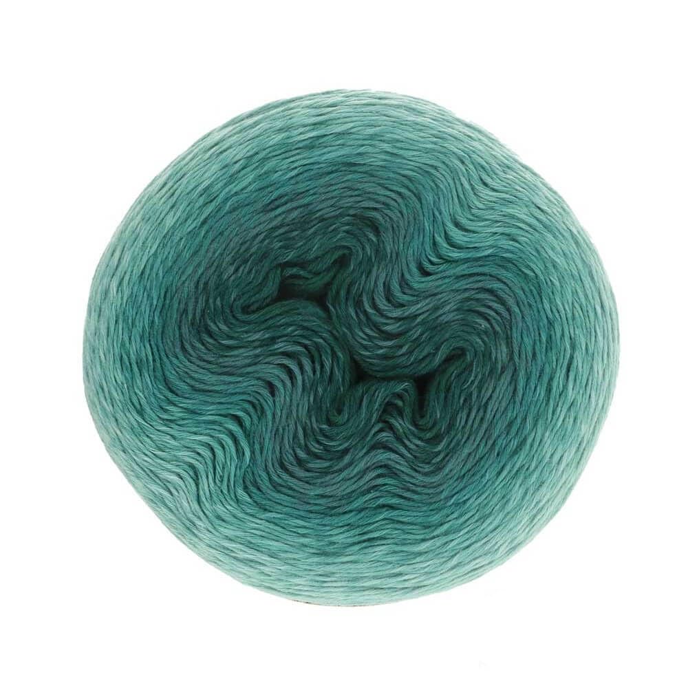 Scheepjes - Scheepjes Whirl 562 Petrol Please Me Yarn - 3x1000m