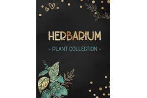 Herbarium: identify and collect dried flowers and plants | for you plant collection