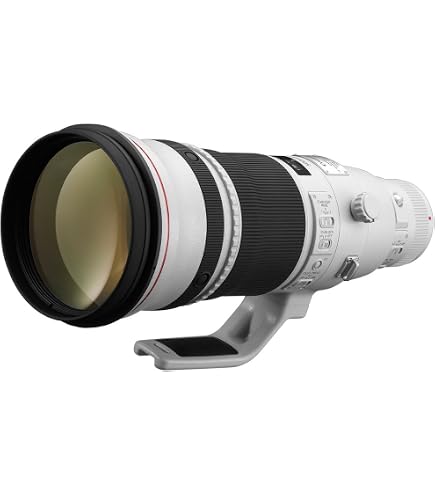 Amazon.com : Canon EF 500mm f/4L is II USM Lens (Renewed