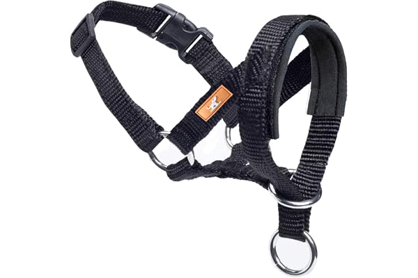 Dog Head Collar, Fabric Padded Head Collar for Dogs to Prevent Pulling, Adjustable Dog Head Harness (M, Black)