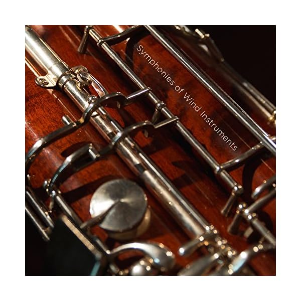 Hindemith: Symphony in B flat I. Moderately fast, with vigor