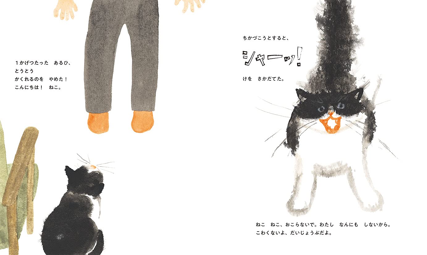 うちのねこ 高橋 和枝 本 通販 Amazon うちのねこ 高橋 和枝 本 通販 Amazon