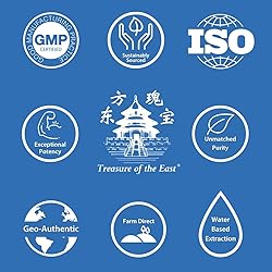 Treasure of the East, Indigo - Qing Dai