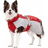 BECROWM Dog Coat Dogs Jacket Waterproof Reflective Adjustable Dog-Winter Coats for Small/Medium/Large Dogs Dachshund Coat-(Red, Medium)