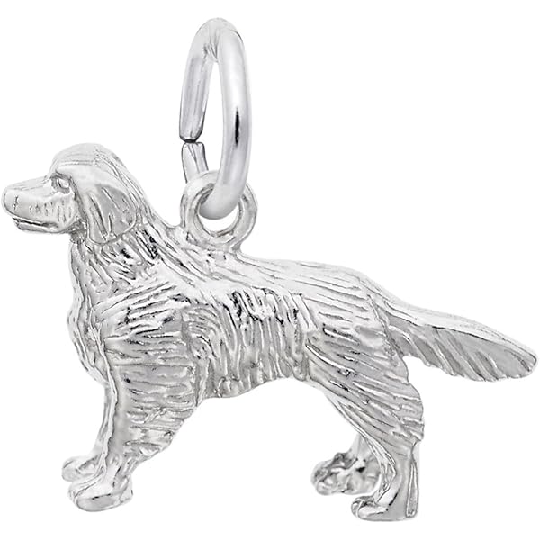 thumbnail image 2 of Labrador Dog Sterling Silver 3d Charm -with Options - Australia 2 of 9