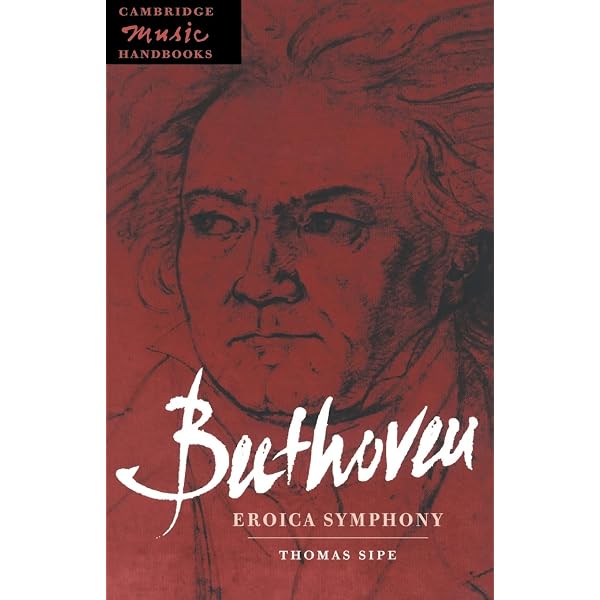 Beethoven: Symphony No. 9 (Cambridge Music Handbooks) (Volume 0