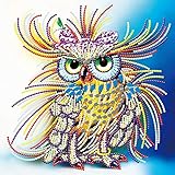 MXJ DIY Special Shape 5D Diamond Painting by Number Kits Rhinestone Round Drill Embroidery Cross Stitch Picture Art Craft for Home Wall Decor Colored Owl 12x12In