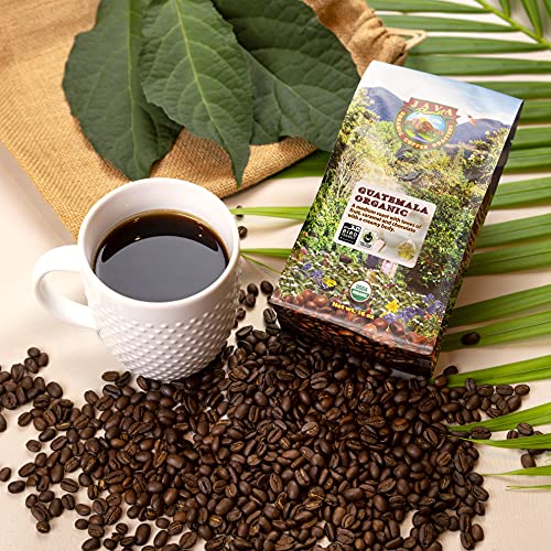 Java Organic Coffee Beans, Guatemalan Single Origin, Fair Trade