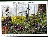 Longleaf Pine Forest (Nature of America), Full Sheet of 10 x 34-Cent Postage Stamps, USA 2001, Scott 3611