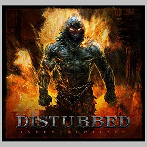 Amazon.com: Believe: 0009362483582: Disturbed: Books