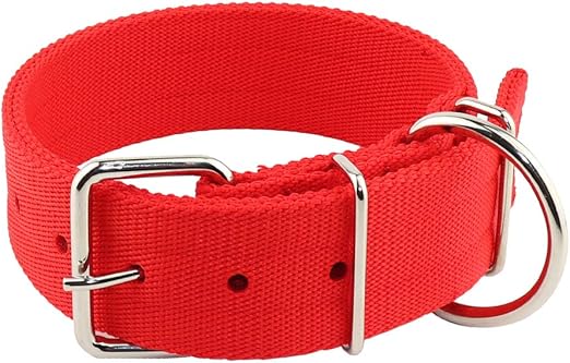 decorative cat food storage containers