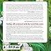 Healing Herbs: A Beginner's Guide to Identifying, Foraging, and Using Medicinal Plants / More than 100 Remedies from 20 of the Most Healing Plants