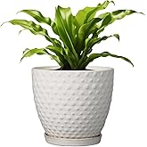 G EPGardening 8 Inch Plant Pot for Indoor Outdoor Plants Round Ceramic Planter Pot with Drainage Hole and Saucer Modern Large Flower Pot White