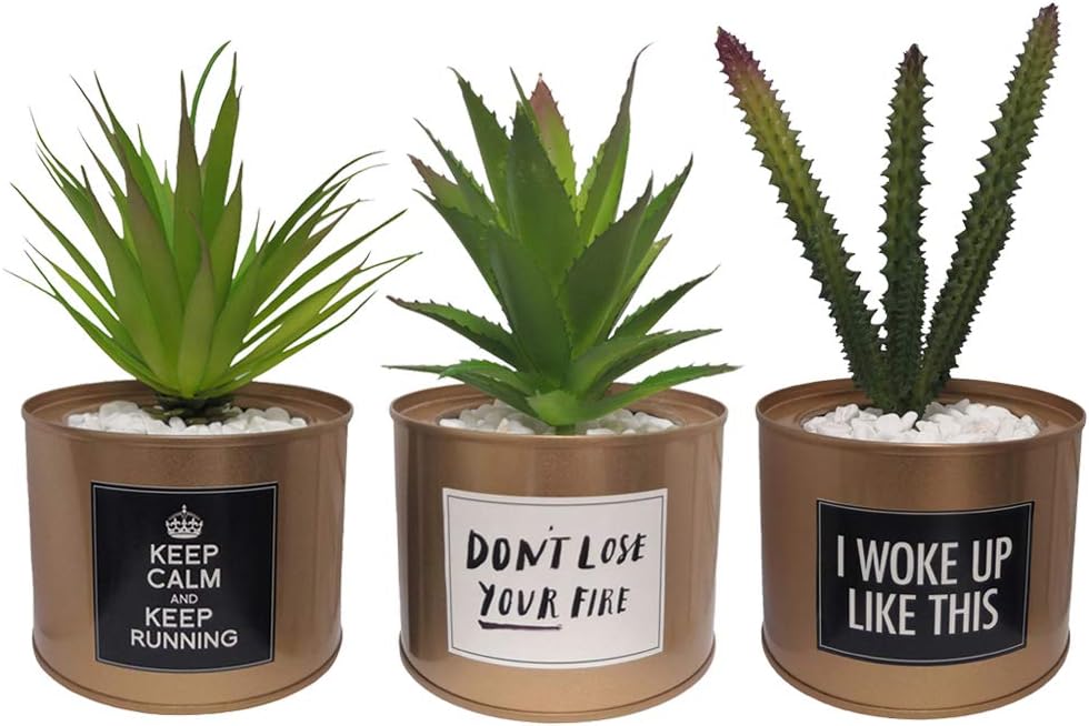 SAJANDA Artificial Succulent Plants in Gold Pots, Artificial Plant Cactus Succulent in Pots, Artificial Succulent Plants in Pots for Home Decor Indoor, Lifelike Decoration for Office, Desk, Bookshelf