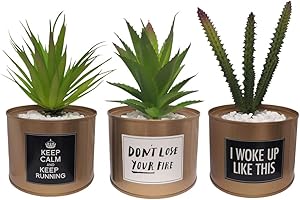 SAJANDA Artificial Succulent Plants in Gold Pots, Artificial Plant Cactus Succulent in Pots, Artificial Succulent Plants in Pots for Home Decor Indoor, Lifelike Decoration for Office, Desk, Bookshelf