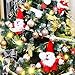 ChristmasExp 60mm/2.36