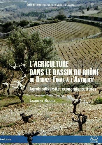 L' agriculture dans le bassin du Rhône du bronze final à l'Antiquité