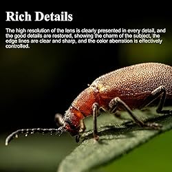 7artisans 60mm F2.8 Macro 2X Lens for Canon RF