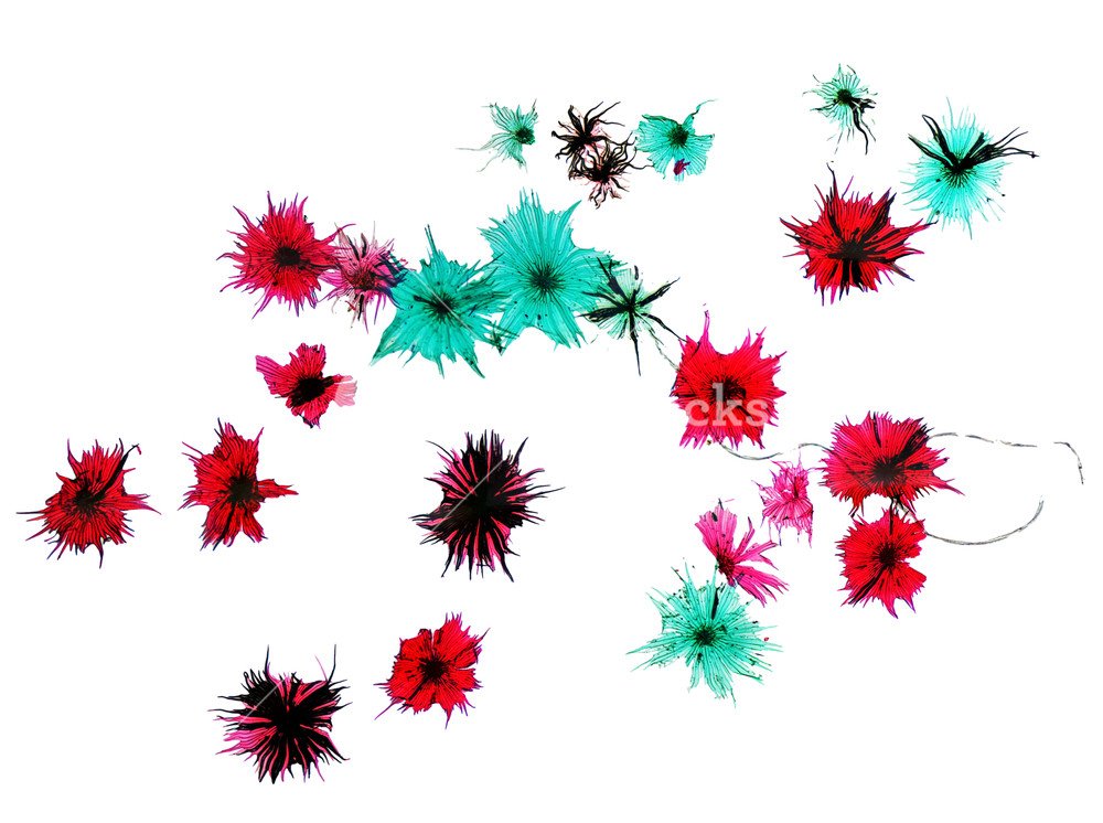 Plant And Animal Prepared Sample Slide Set Of 24 Amazon Com