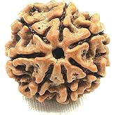 NAISHA Himalayan 7 Mukhi Rudraksha Bead Necklace, 100% Certified & Original Seven-Faced Rudraksha Seed for Pooja/Prayer/Meditation