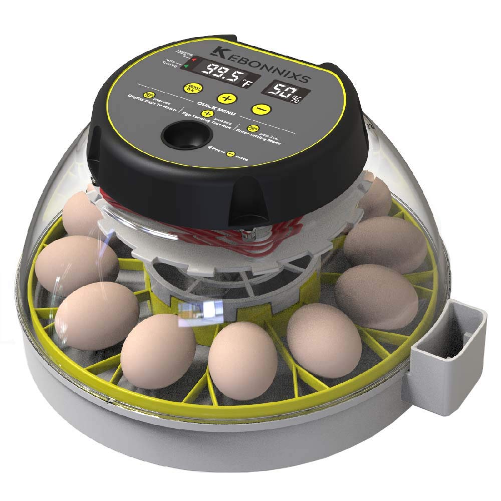 KEBONNIXS 12 Egg Incubator with Humidity