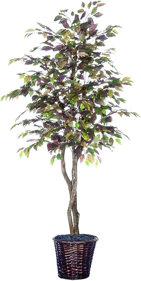Vickerman the0560 Mystic Focus Heartland Árbol, 6 ': Amazon.com.mx