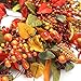 VGIA 22 inch Artificial Fall Wreath Door Wreath Autumn Wreath Berry Wreath Fall Decorations