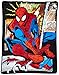 Northwest Spider-Man Micro Raschel Throw Blanket, 46