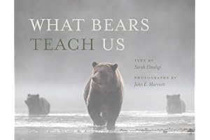 What Bears Teach Us
