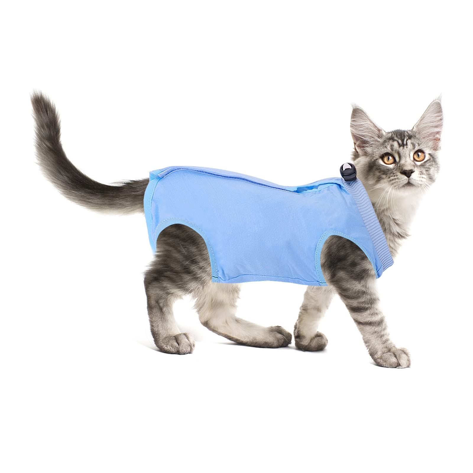 Molain Cat Professional Recovery Suit - Abdominal Wounds or Skin Diseases After Surgery E-Collar Alternative Anti Licking Pajama Suit for Kittens (Blue, L Size)