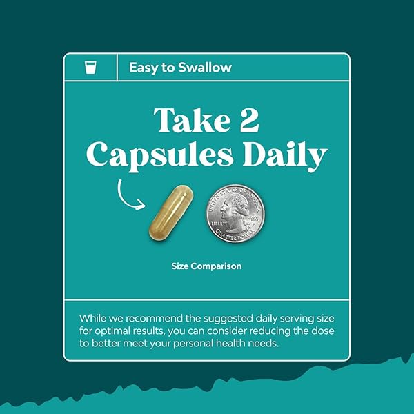 LIVER CLEANSE DETOX & REPAIR – MILK THISTLE SUPPLEMENT FOR DIGESTION & IMMUNE HEALTH – GINGER ROOT, CHOLINE & DANDELION ROOT – HERBAL LIVER SUPPORT WITH SILYMARIN, BEETROOT & ARTICHOKE – 70 COUNT